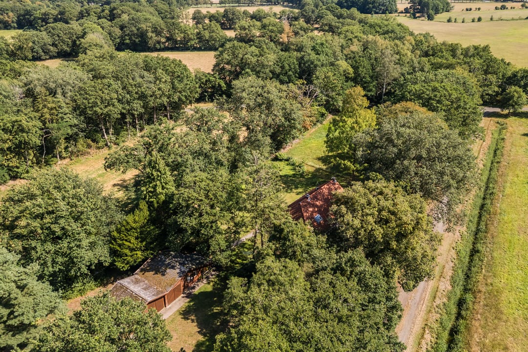 Foto 43 van Borgerweg 12