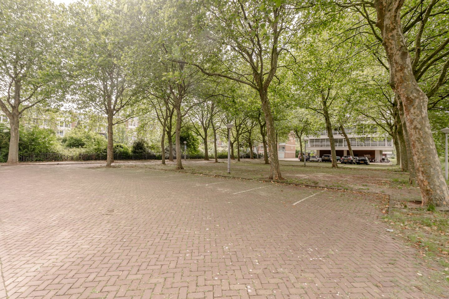 Foto 50 van Maassluisstraat 256-L
