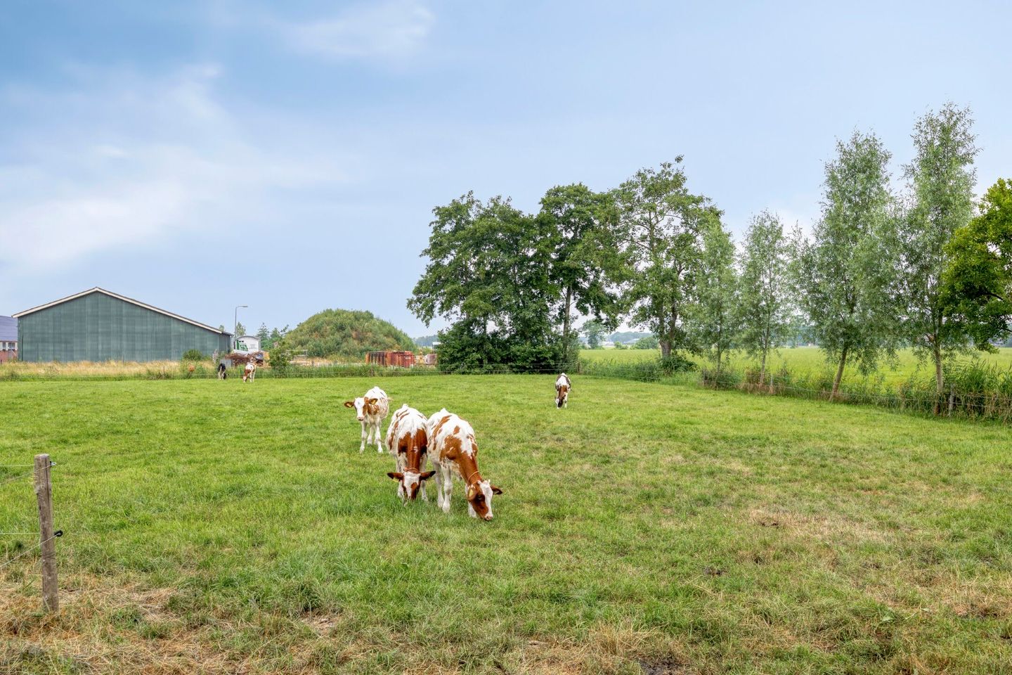 Foto 4 van Schapendijk 10
