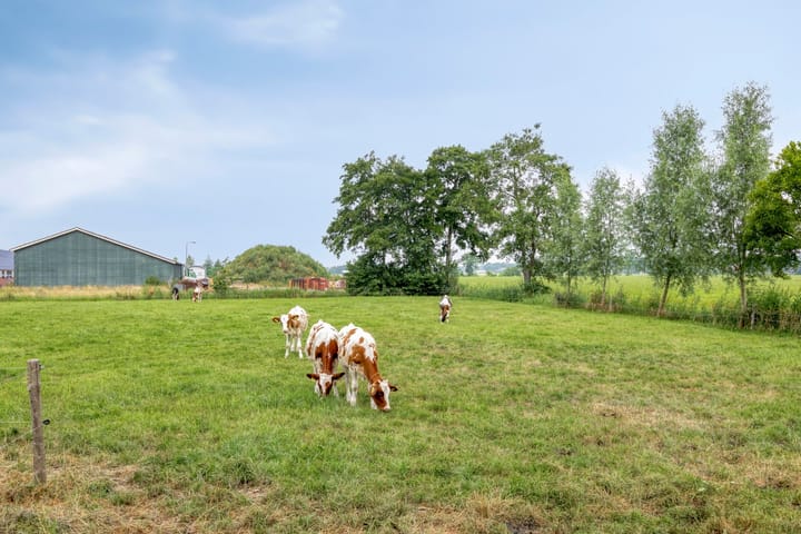 Foto 4 van Schapendijk 10