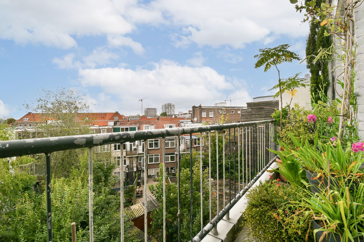 Photo 20 of Boerhaavelaan 12-A