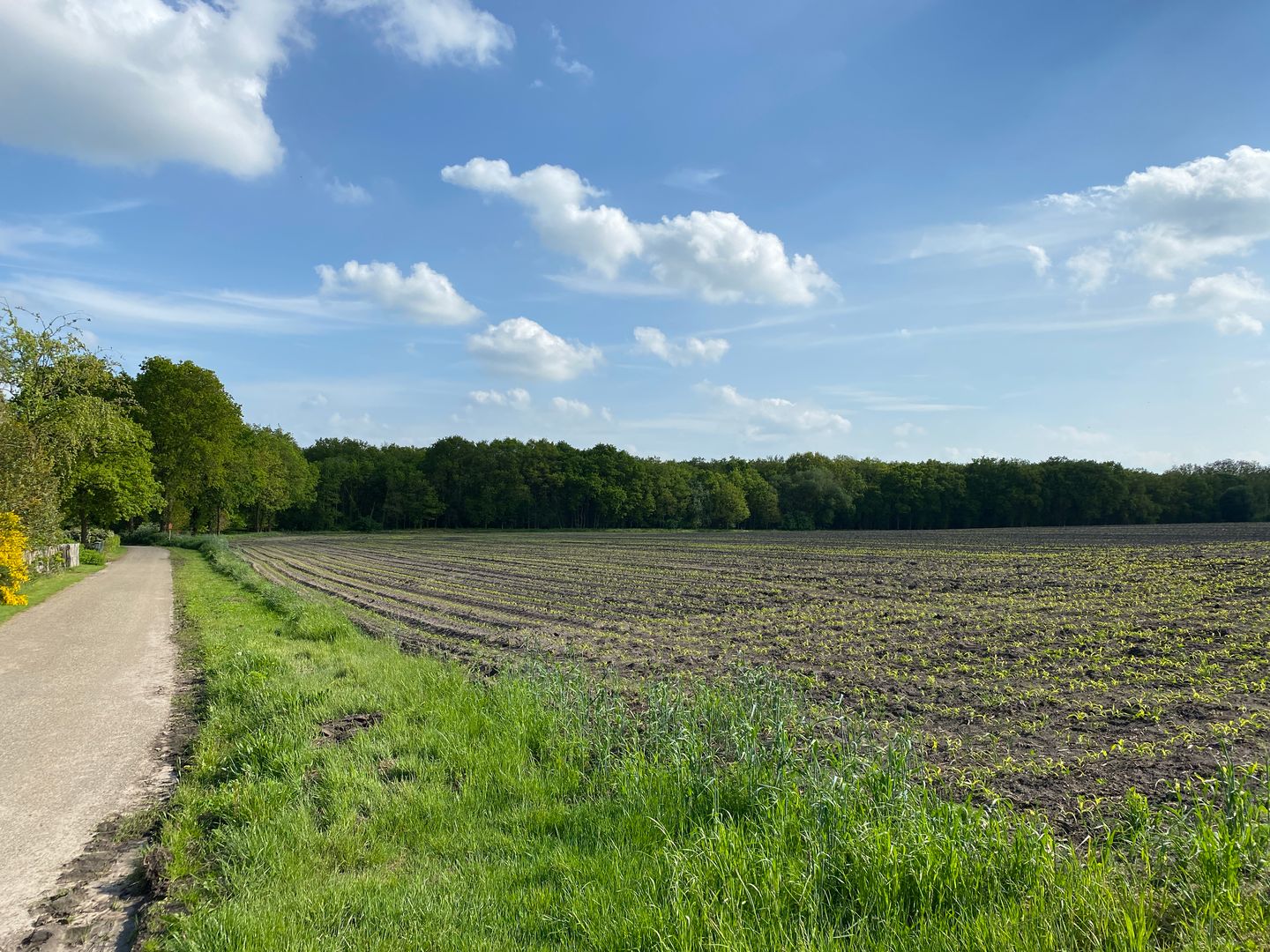 Bekijk foto 2 van Dorlangenweg