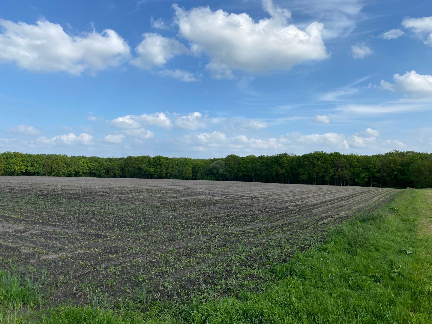 Bekijk foto 3 van Dorlangenweg