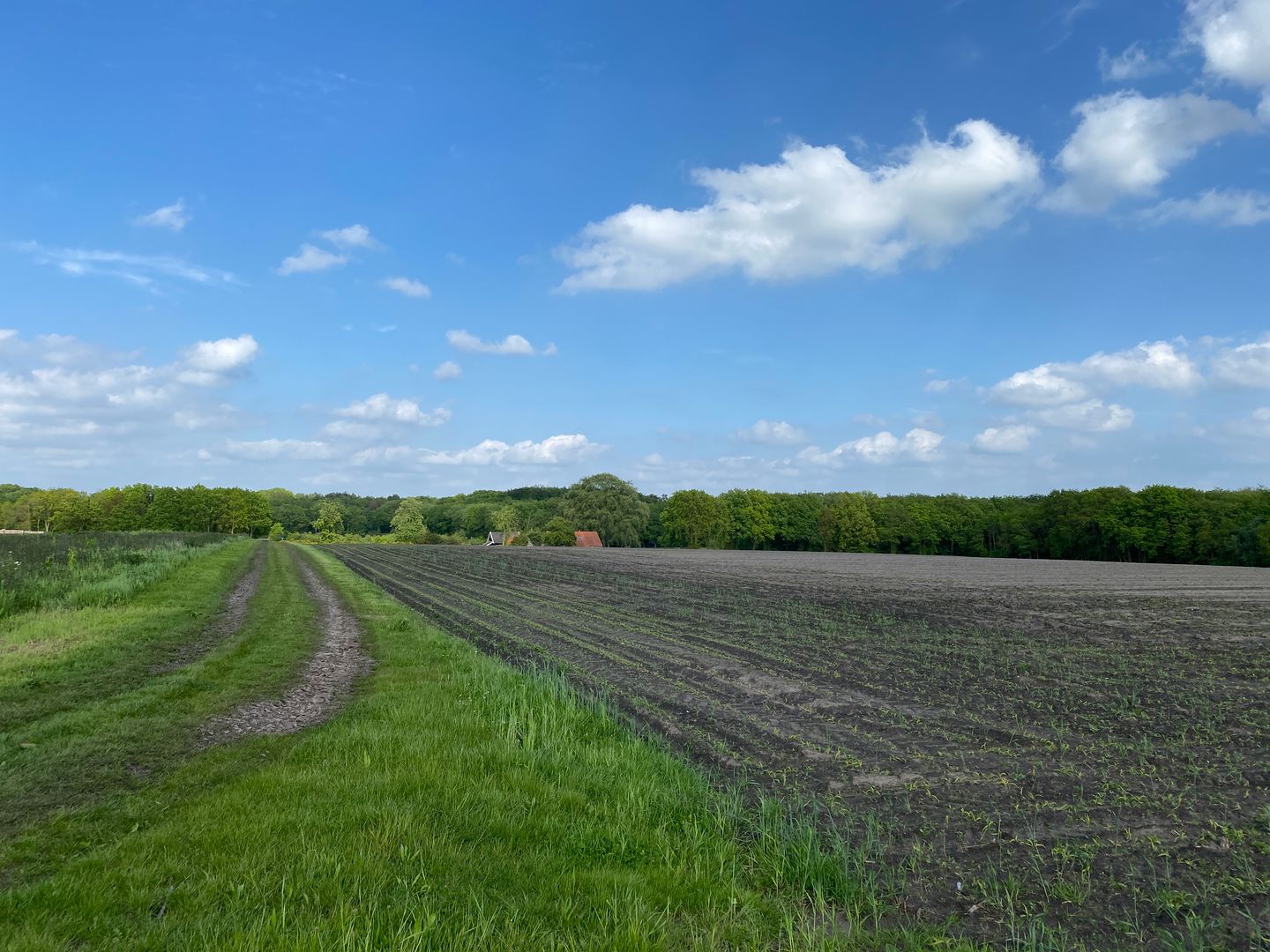 Bekijk foto 4 van Dorlangenweg