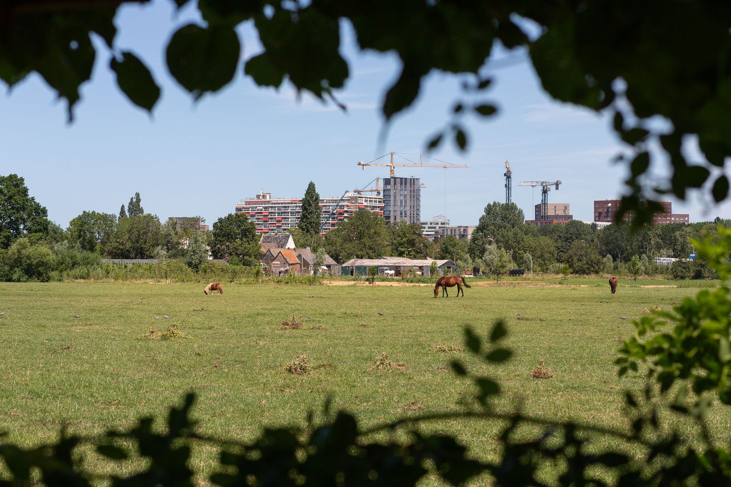 Photo 19 of Vlietpark 36