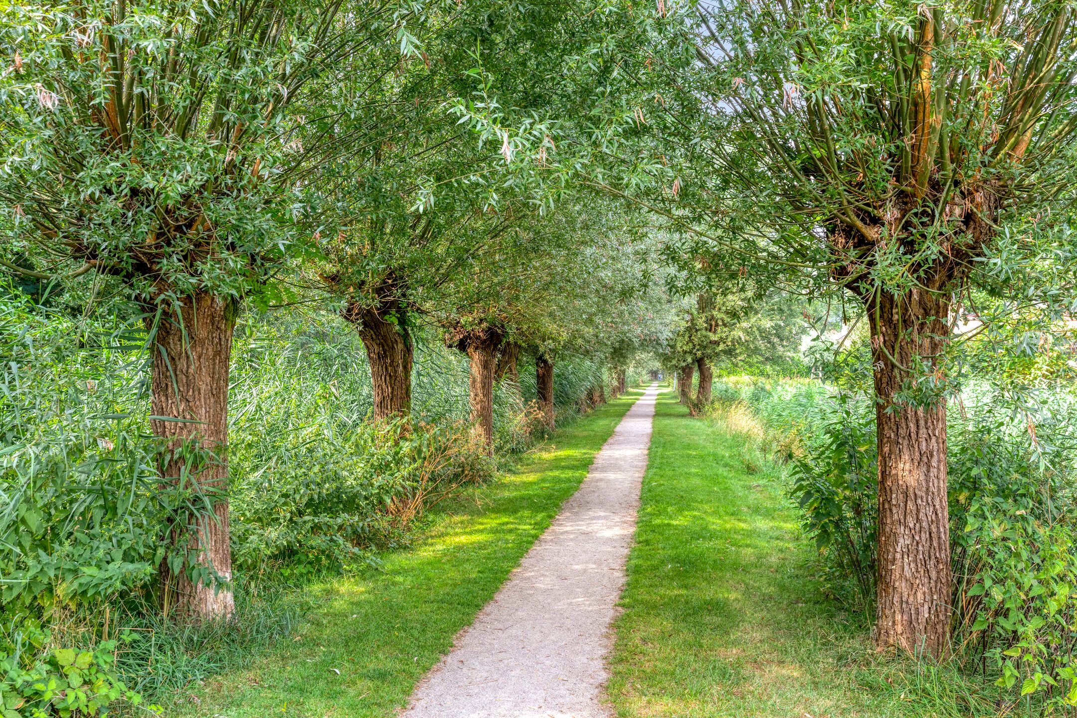 Photo 48 of De Hengmolen 16