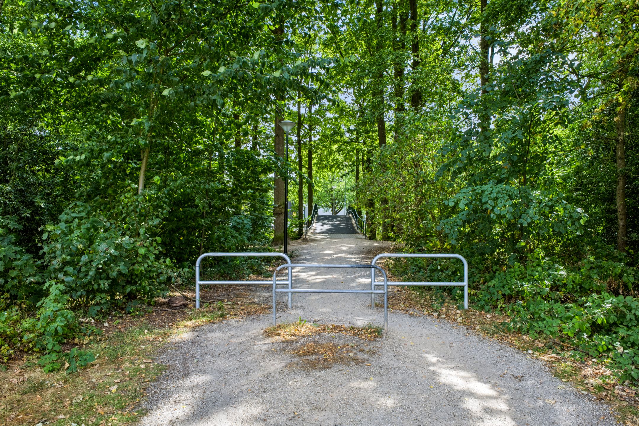Photo 36 of Strausslaan 43