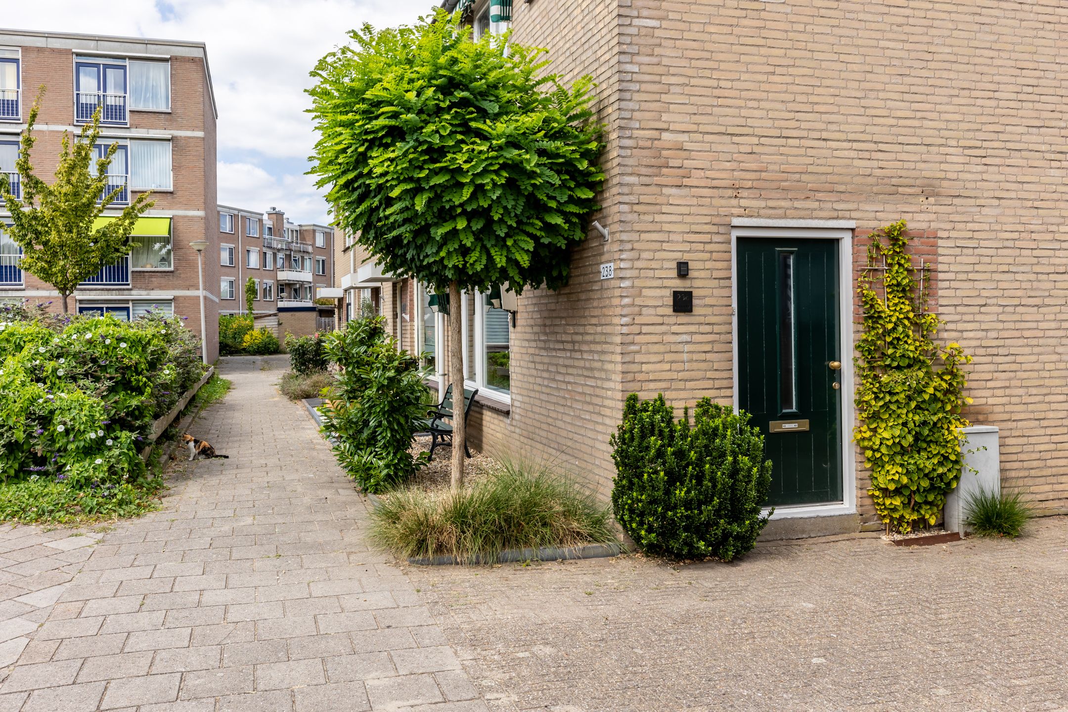 Foto 45 van Eendendaal 238