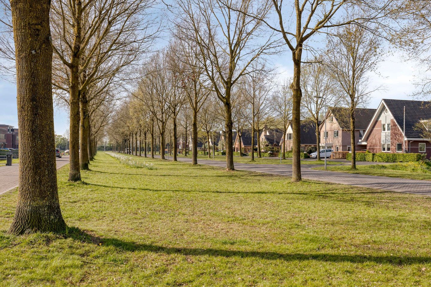 Foto 40 van De Dries 47
