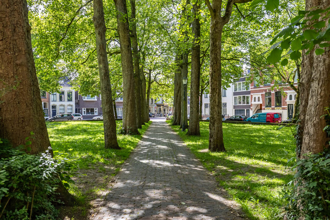 Foto 41 van Nieuwe Boteringestraat 13