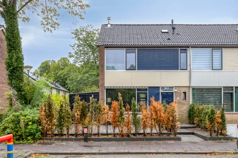 Willaertstraat thumbnail