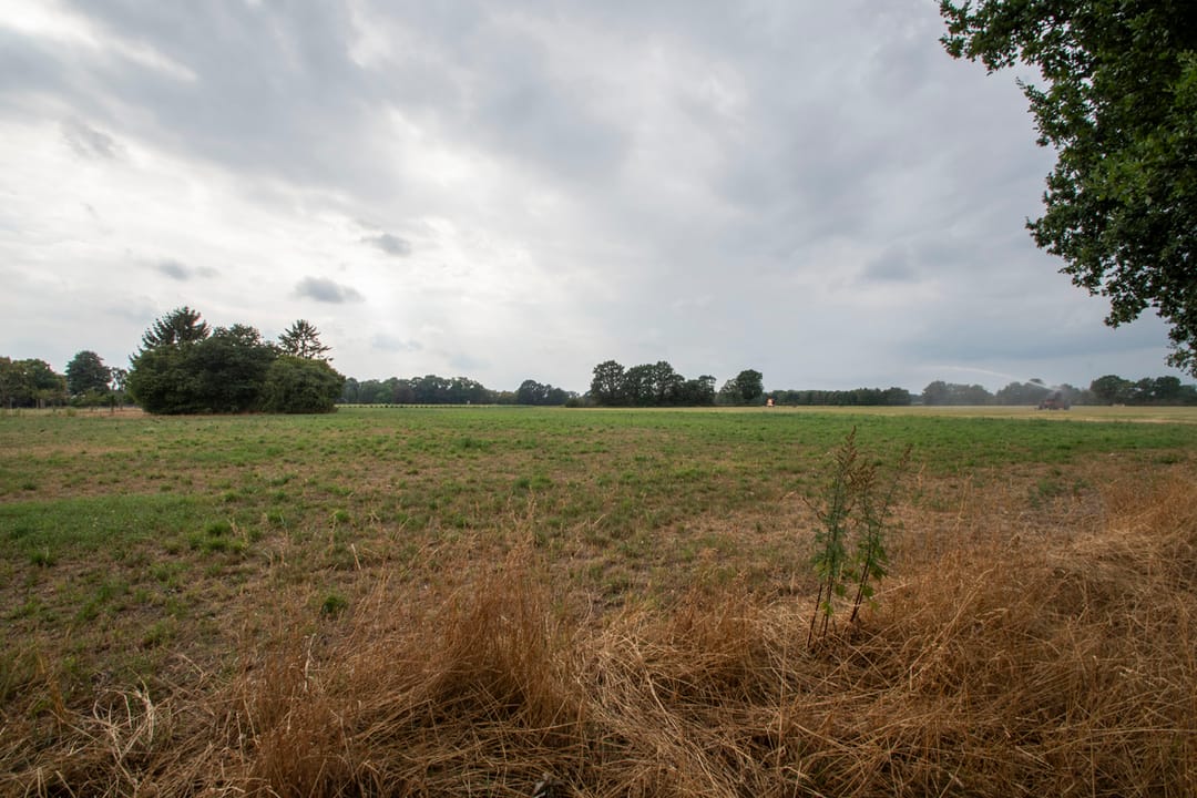 Foto 47 van Heijerveld 14