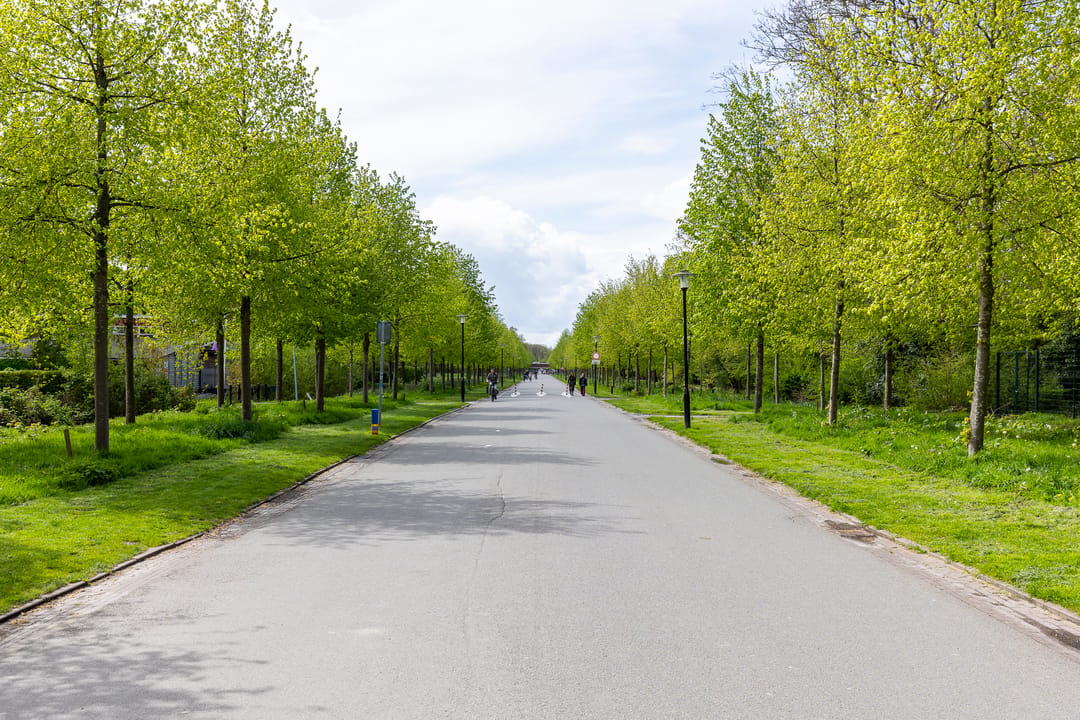 Photo 46 of Parkweg 151-A