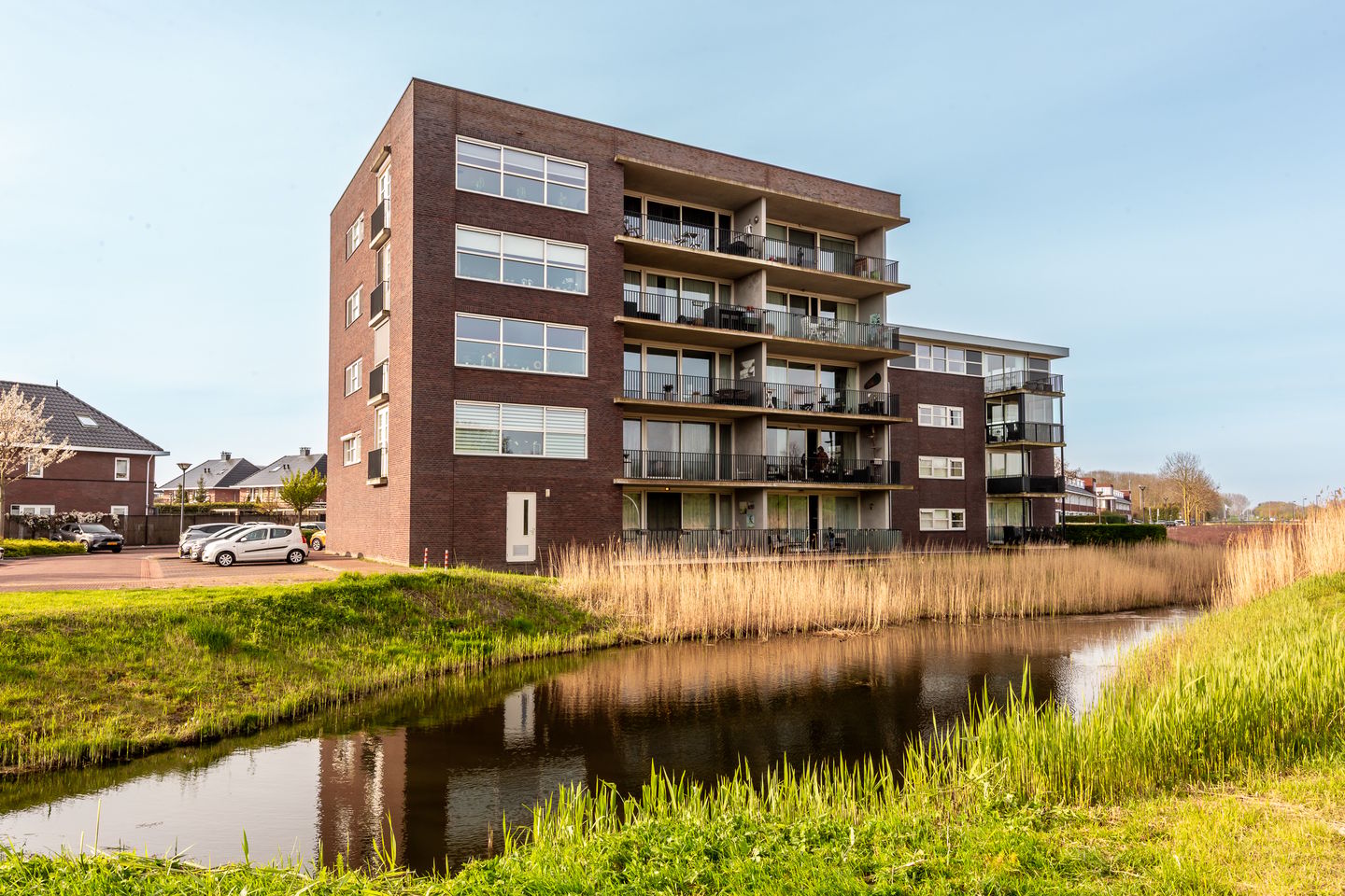 Foto 50 van Galjoen 09 45