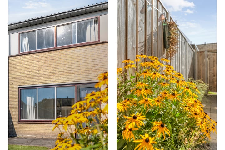 Tussenwoning te koop: Hesselterbrink 216, Emmen