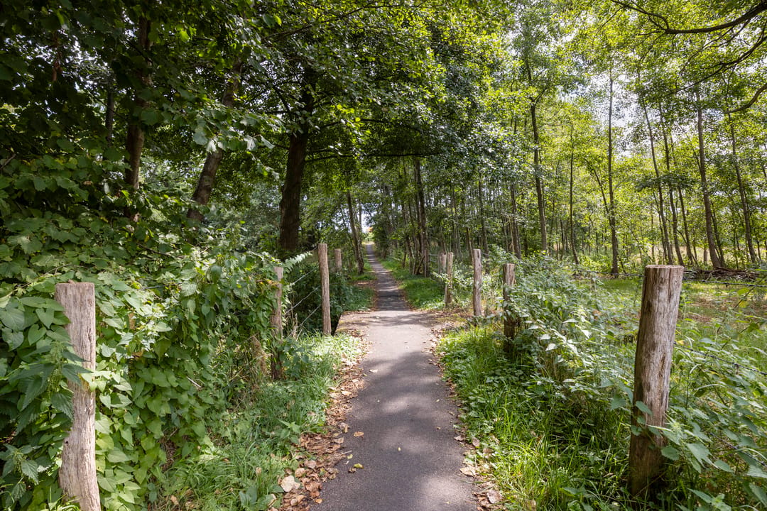 Foto 43 van Retersbekerweg 42