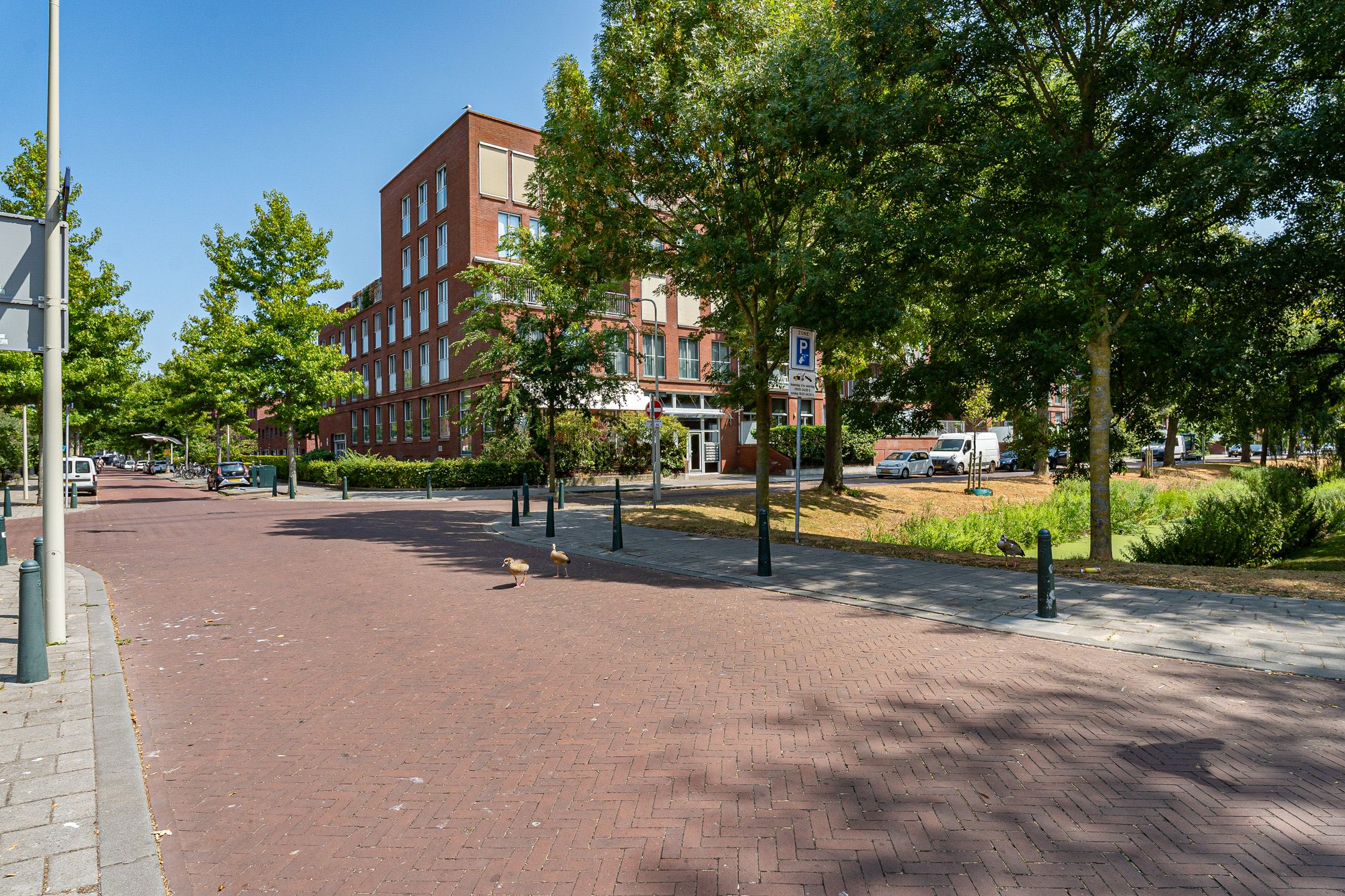 Foto 48 van Hoogeveenlaan 6-E