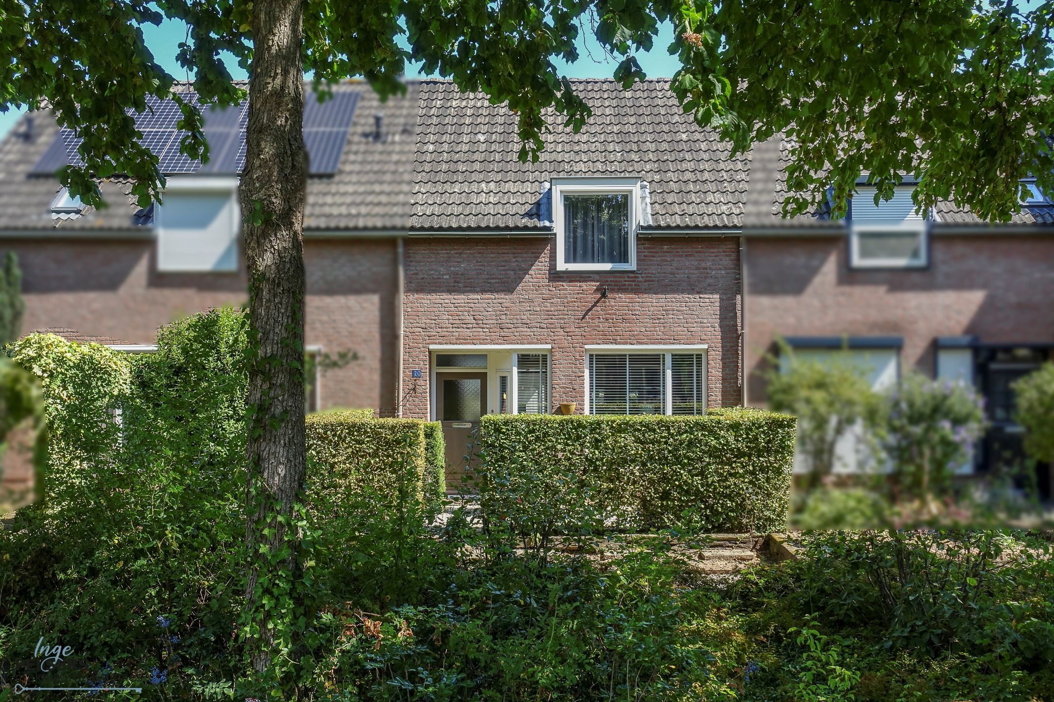 Dotterbloemstraat 20