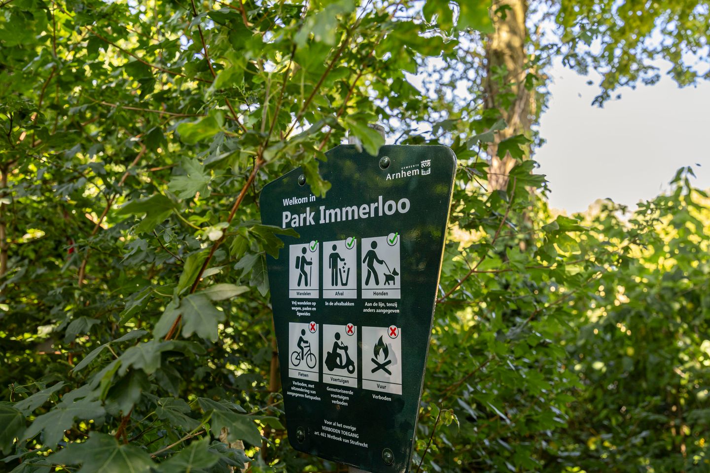 Foto 44 van Dokkumlaan 9