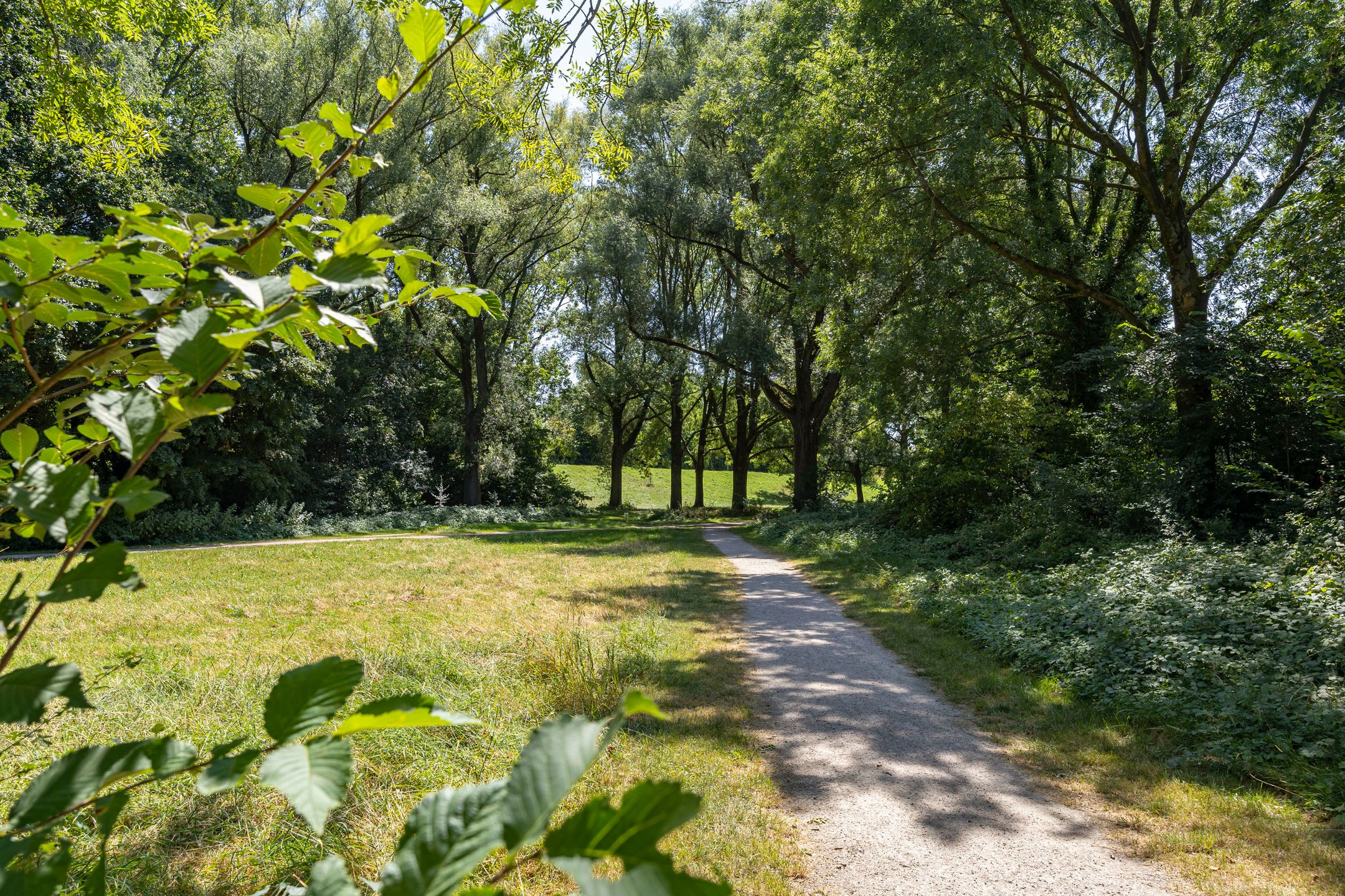 Foto 45 van Dokkumlaan 9