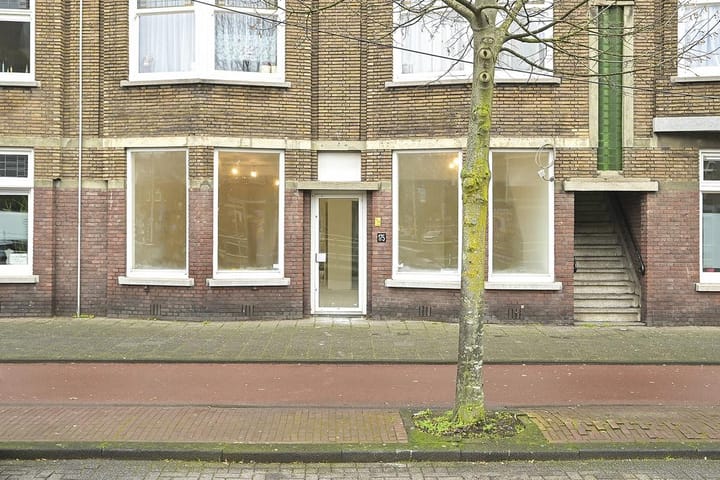 Apeldoornselaan 175, Den Haag