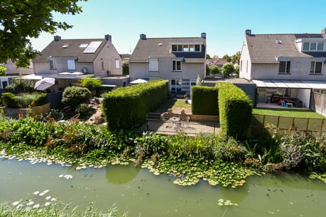 Buitenwiek thumbnail