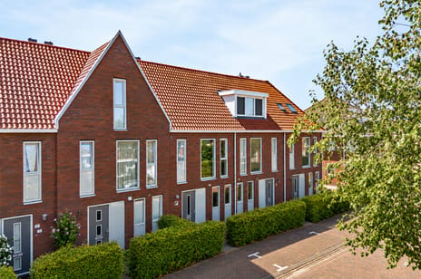 Witte Klaverweide thumbnail