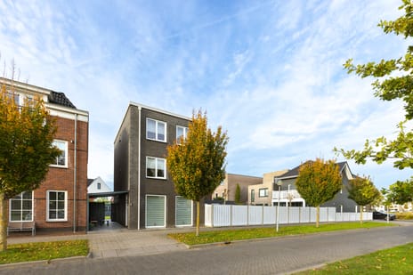 Stellingsteek thumbnail