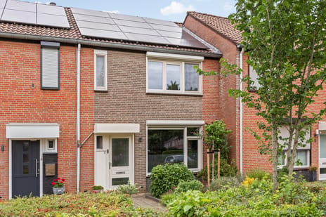 Moerbeistraat thumbnail