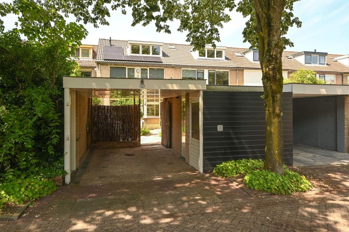 Photo 2 of Scholekster 32