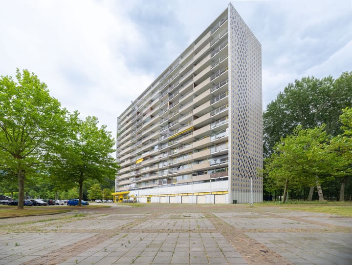 Foto 4 van Tjaarda 428