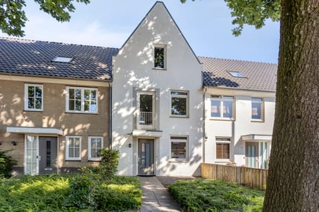 Ringvaert thumbnail