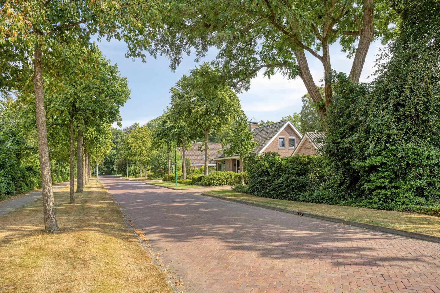 Foto 44 van Platanenlaan 56