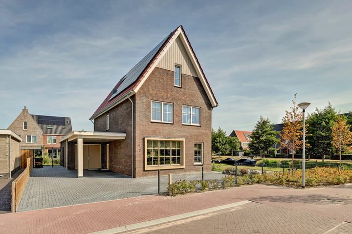 Foto 2 van Rijsoort 2