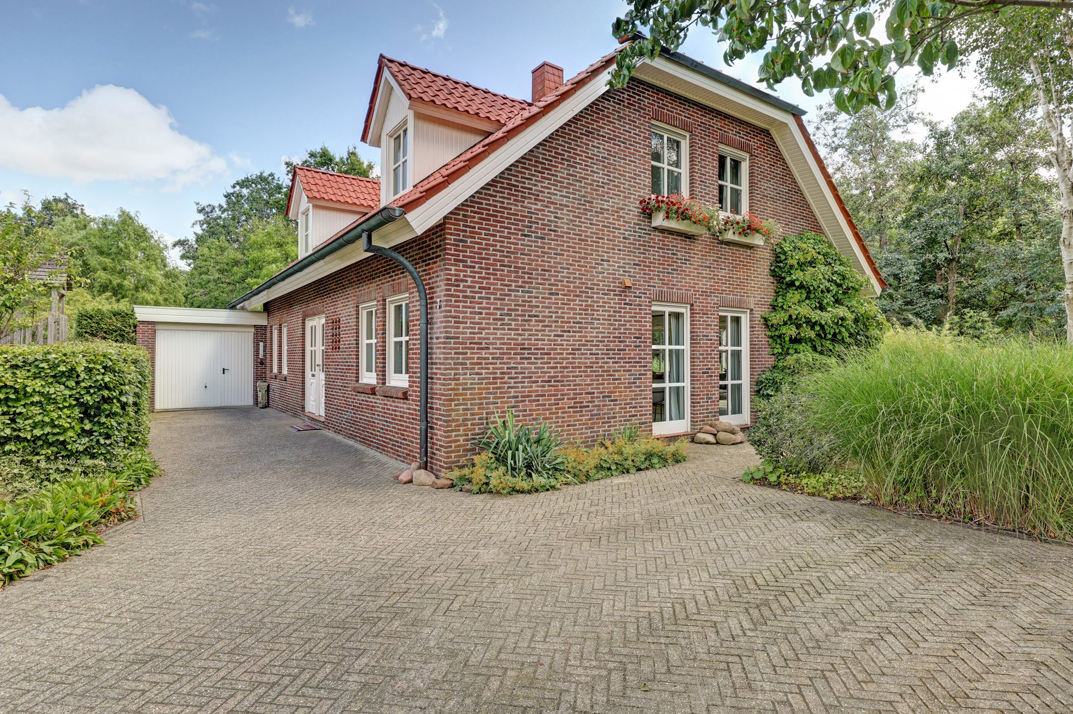 Foto 6 van Wulp 7