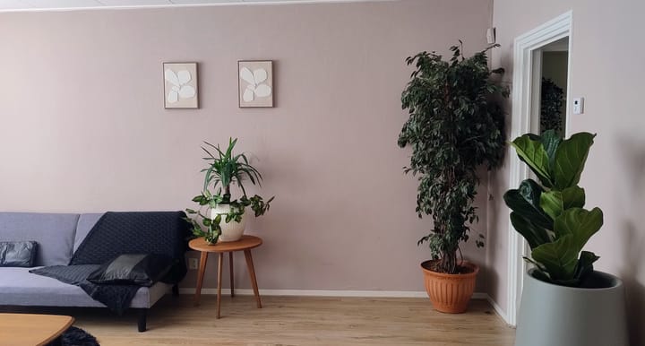 Tussenwoning te koop: Kobbeflecht 8, Hurdegaryp