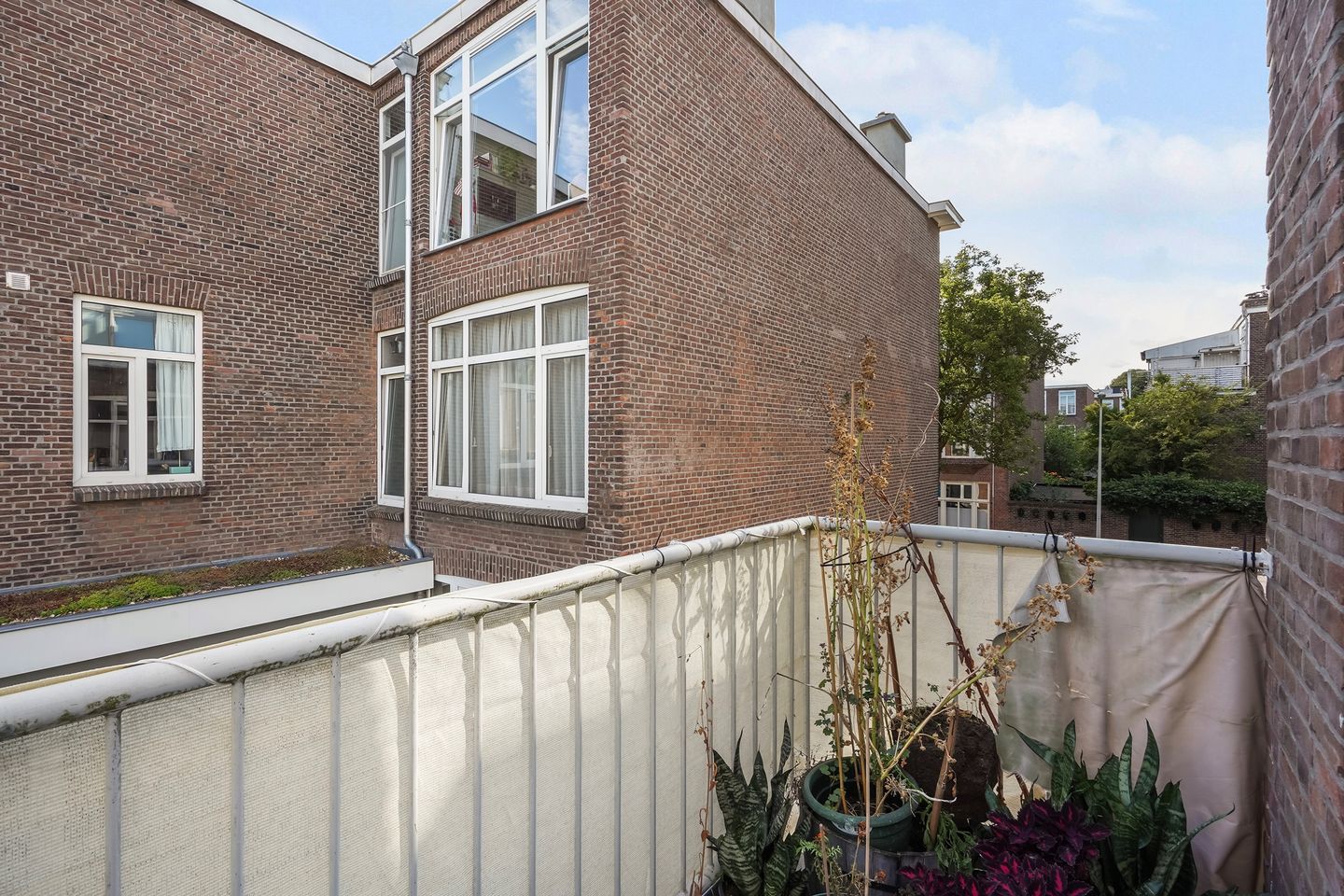 Foto 4 van Goudenregenstraat 79