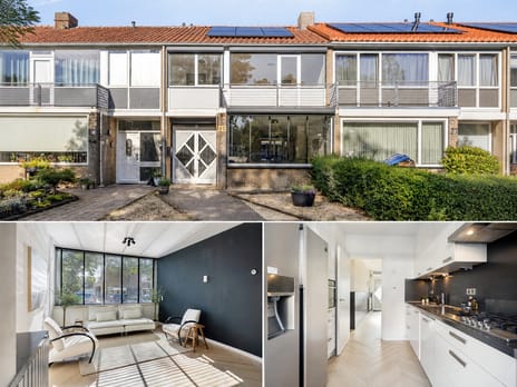 Giraffestraat thumbnail