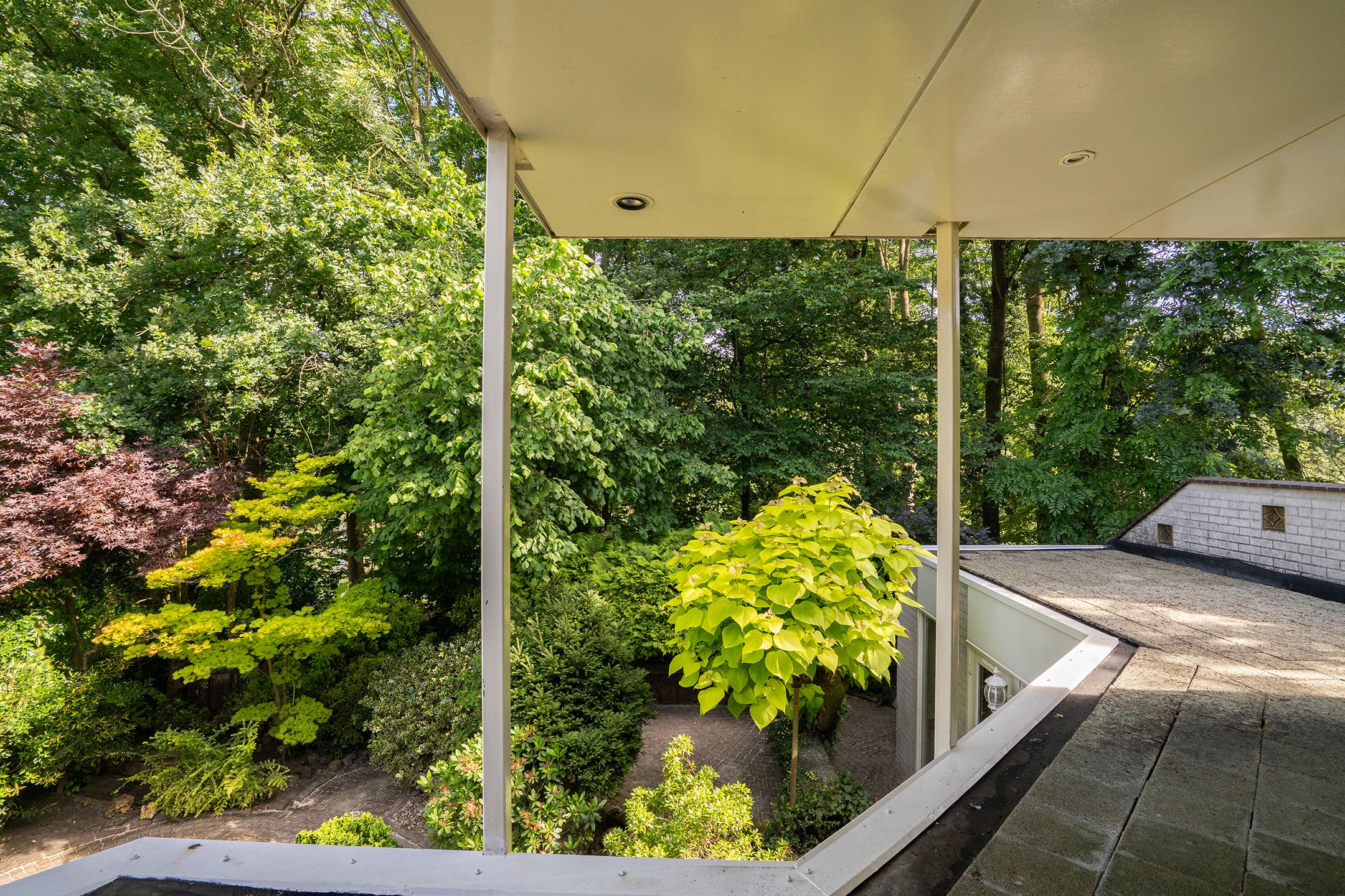 Foto 36 van Smuddeboshoek 14