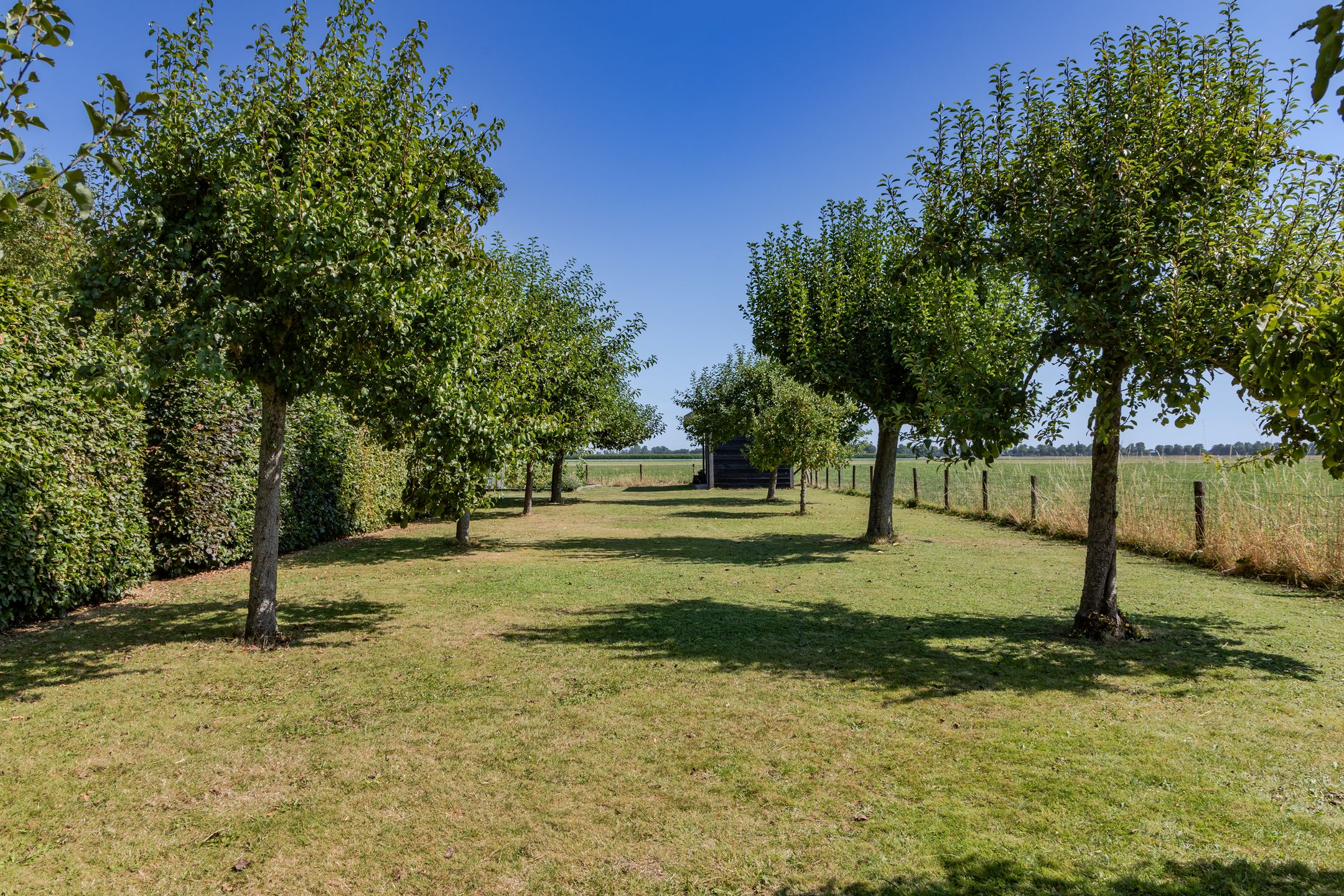 Photo 27 of Zuiderweg 17