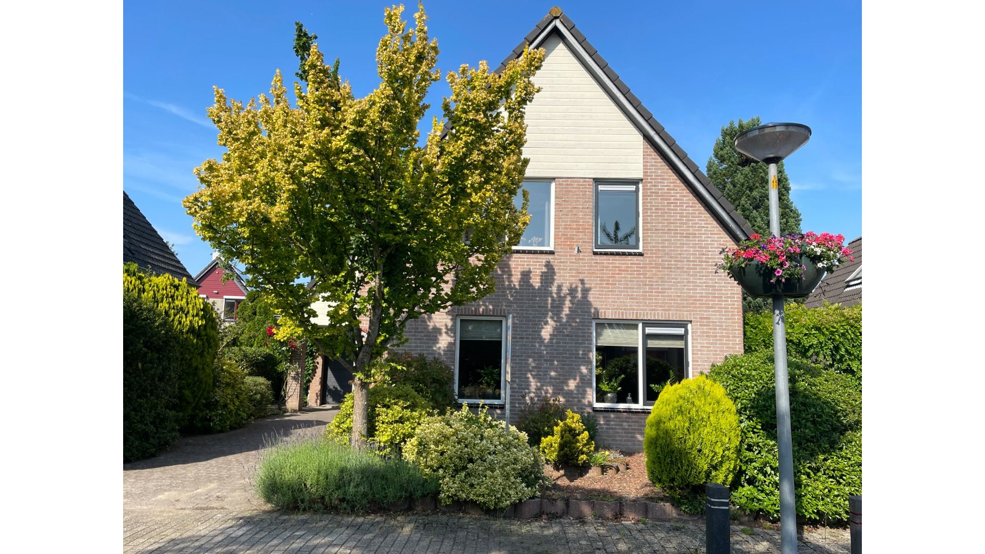 Schoener 44 7 