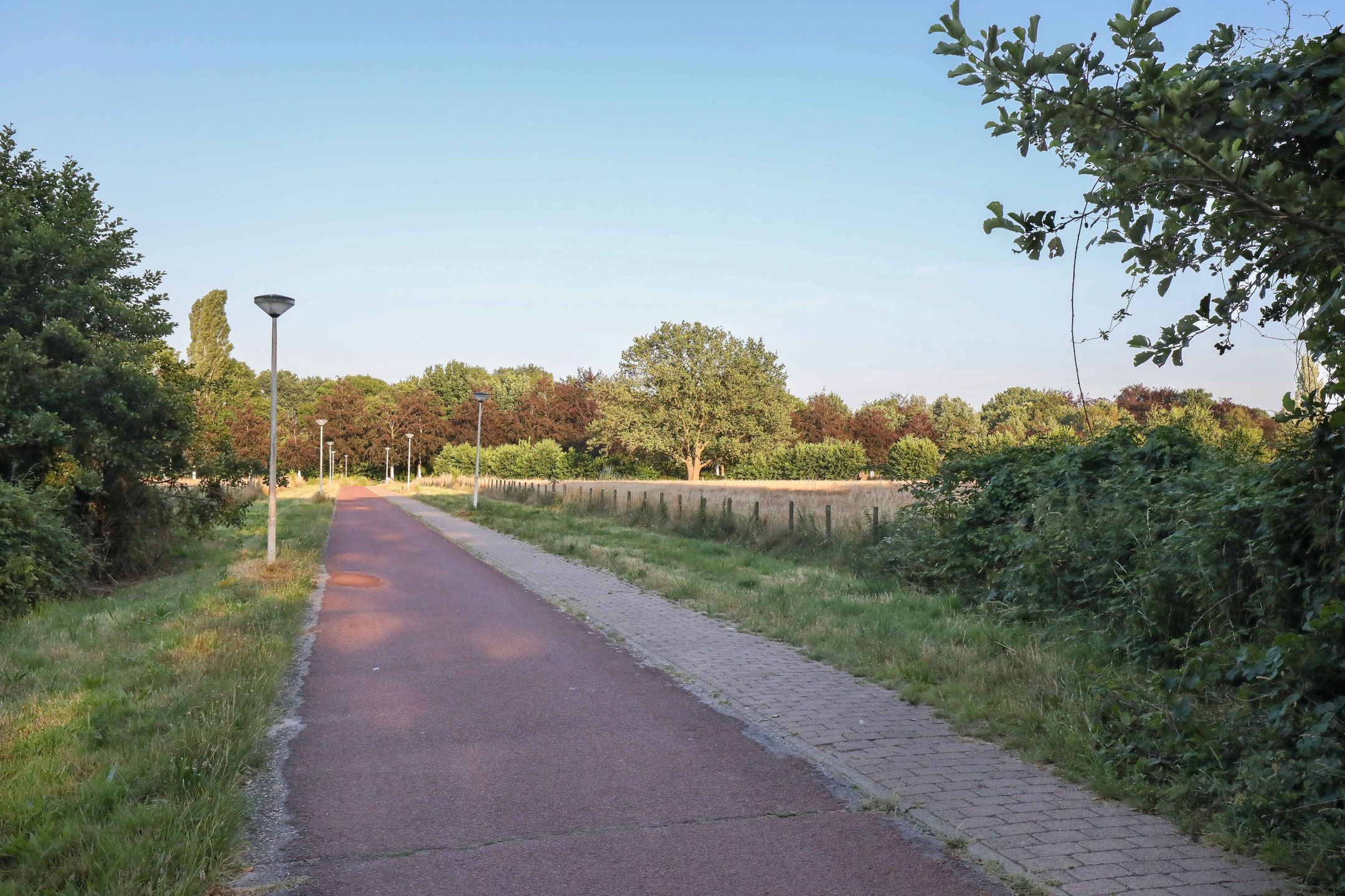 Foto 42 van Schrijnwerkerlaan 20