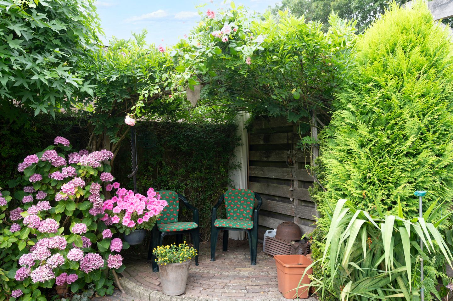 Photo 19 of Burgemeester de Herderplantsoen 11