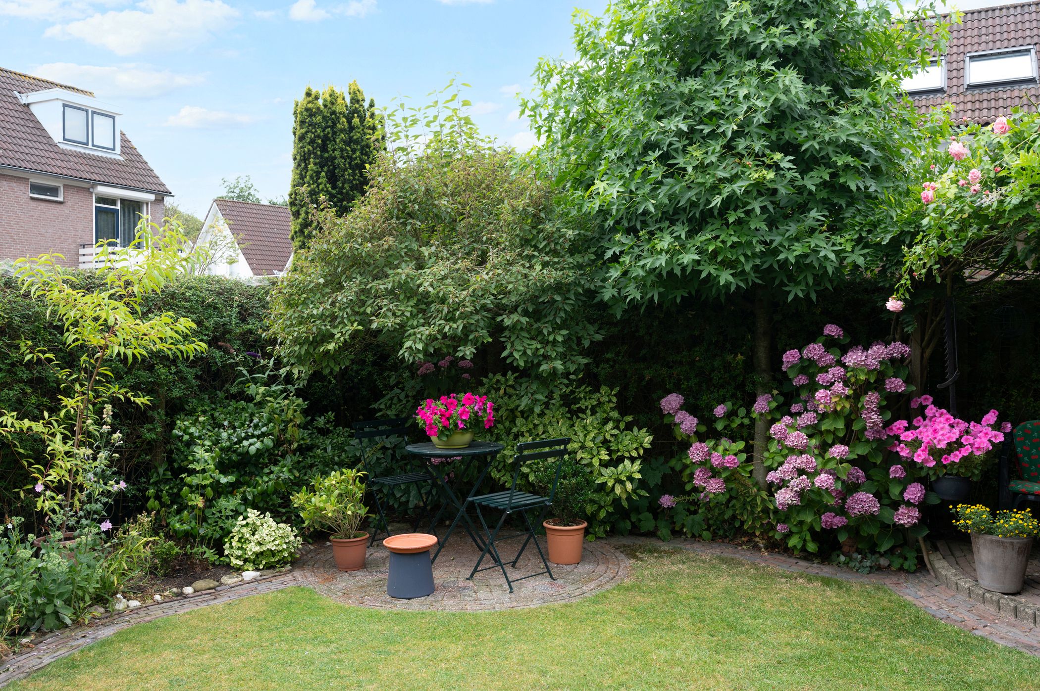 Photo 18 of Burgemeester de Herderplantsoen 11