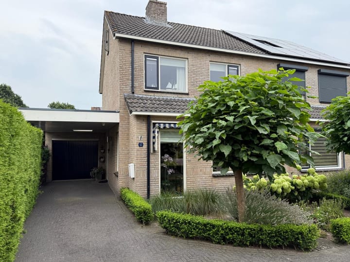 Pijlkruid 57
