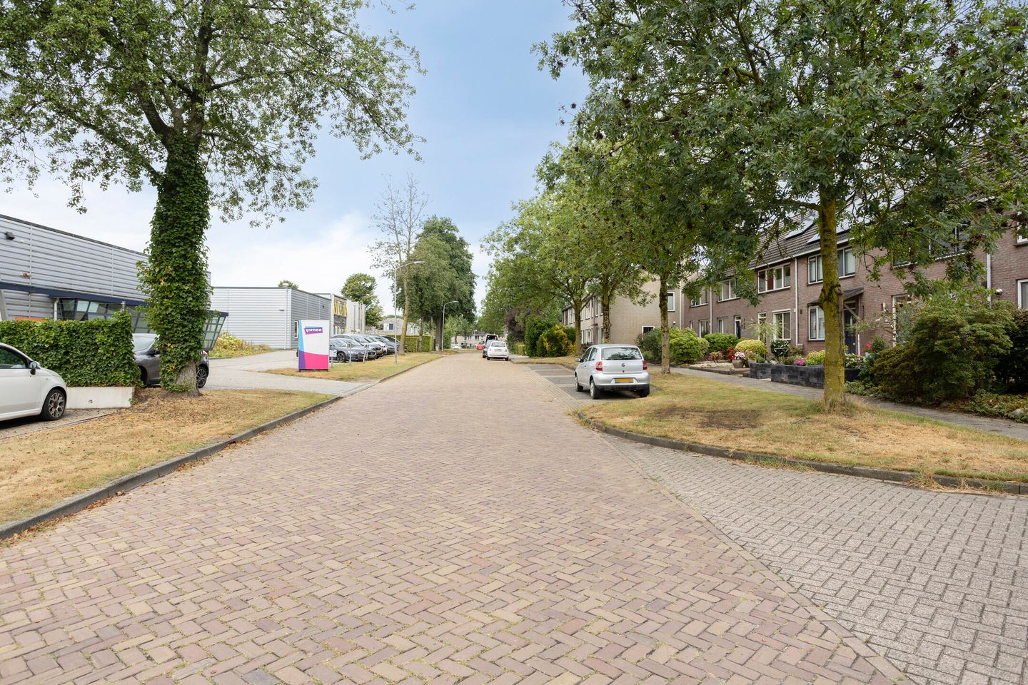 Foto 35 van Roegoorn 25
