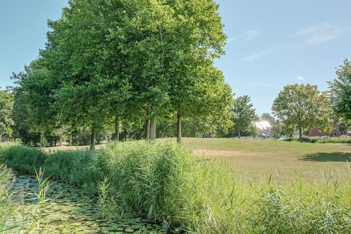 Foto 3 van Elft 12