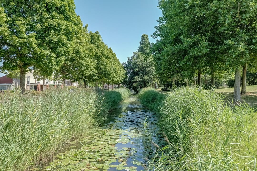 Foto 38 van Elft 12