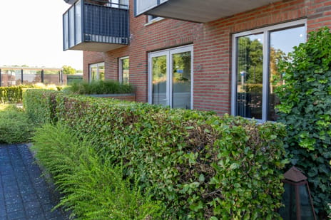 Waakvlamstraat thumbnail