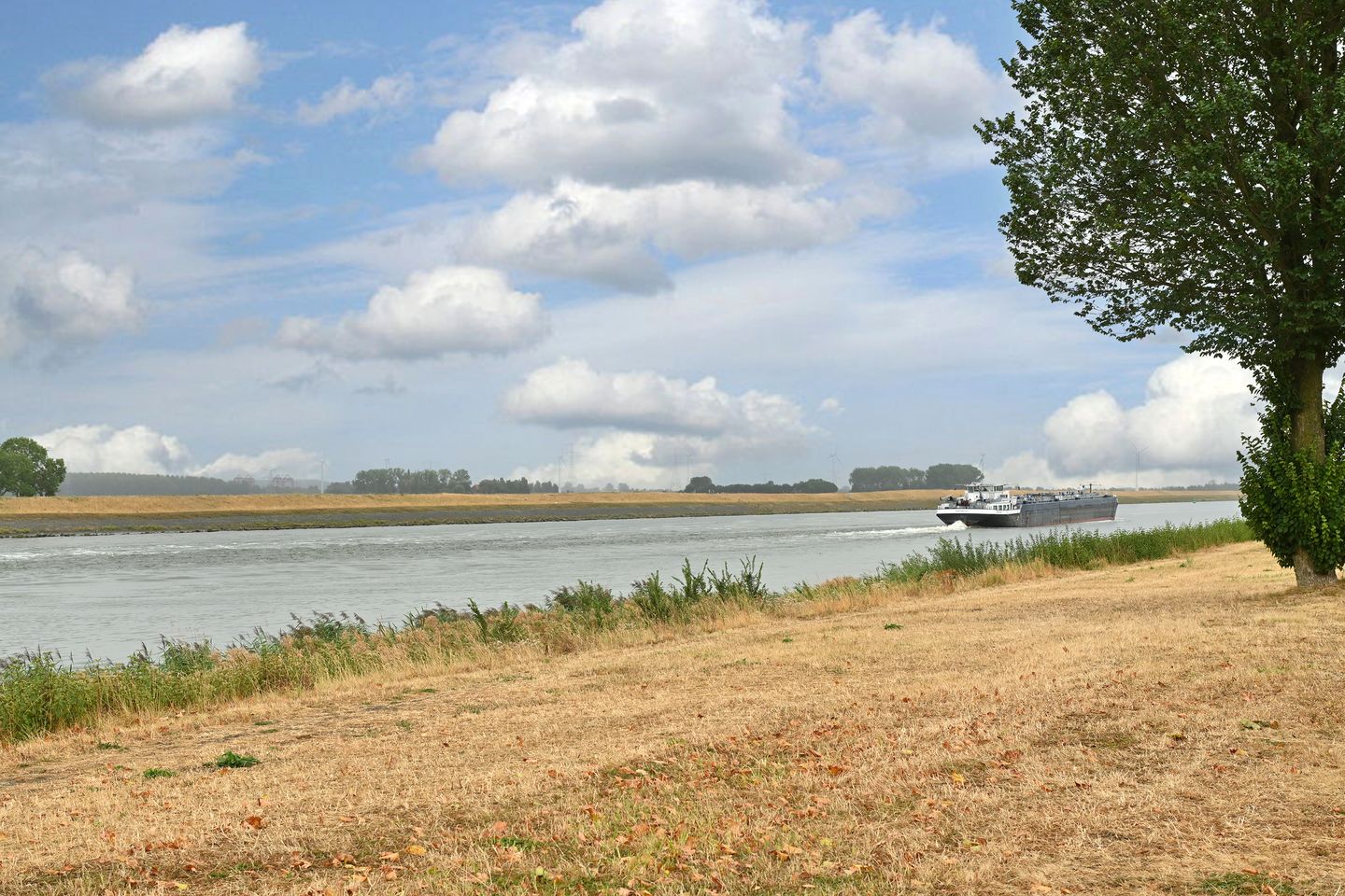 Photo 35 of Vossemeersepoort 36